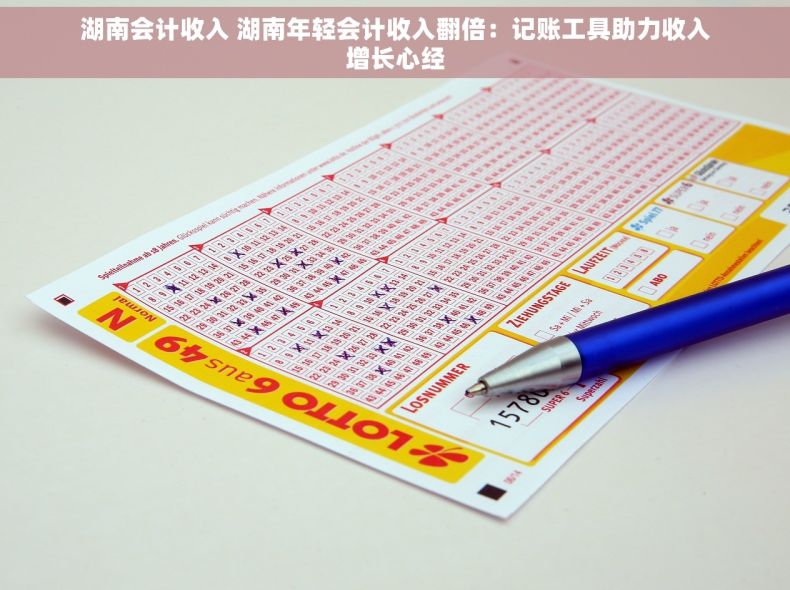 湖南会计收入 湖南年轻会计收入翻倍：记账工具助力收入增长心经