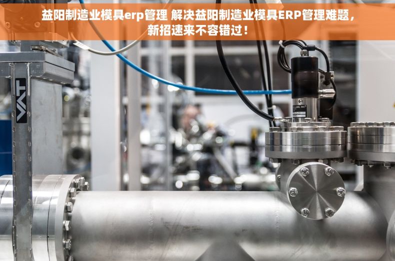 益阳制造业模具erp管理 解决益阳制造业模具ERP管理难题，新招速来不容错过！