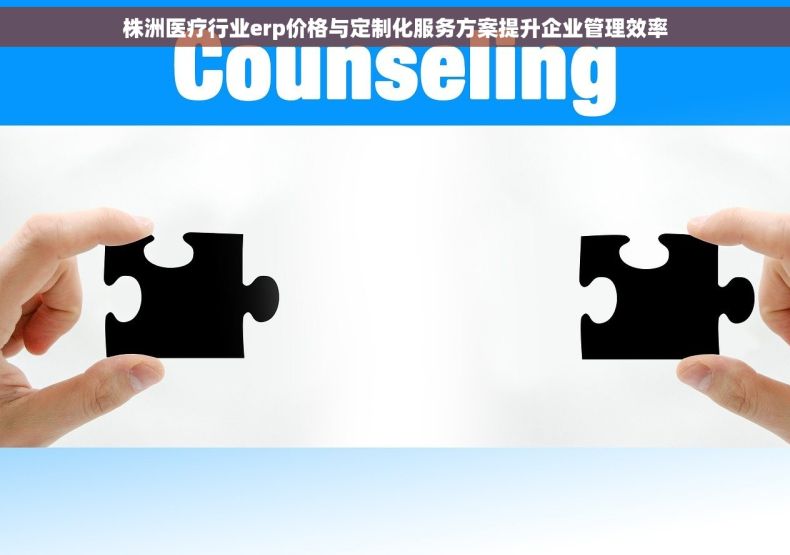 株洲医疗行业erp价格与定制化服务方案提升企业管理效率