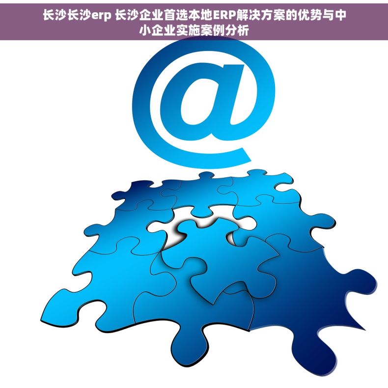 长沙长沙erp 长沙企业首选本地ERP解决方案的优势与中小企业实施案例分析