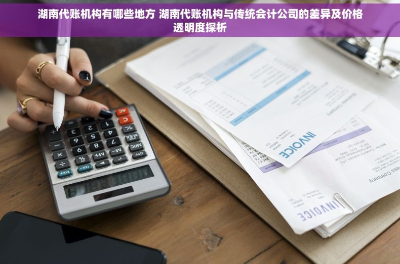 湖南代账机构有哪些地方 湖南代账机构与传统会计公司的差异及价格透明度探析