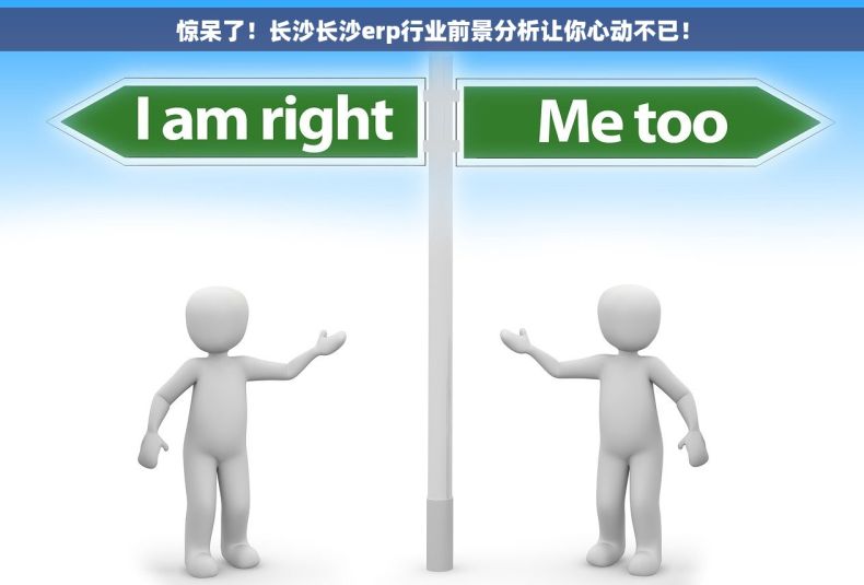 惊呆了！长沙长沙erp行业前景分析让你心动不已！