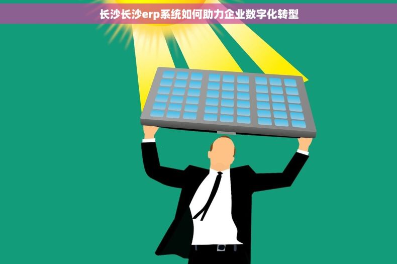 长沙长沙erp系统如何助力企业数字化转型