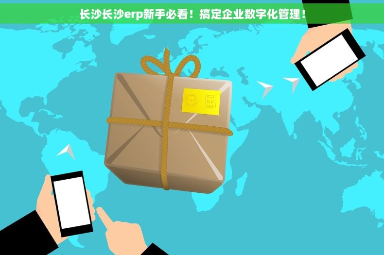 长沙长沙erp新手必看！搞定企业数字化管理！