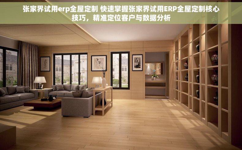 张家界试用erp全屋定制 快速掌握张家界试用ERP全屋定制核心技巧，精准定位客户与数据分析