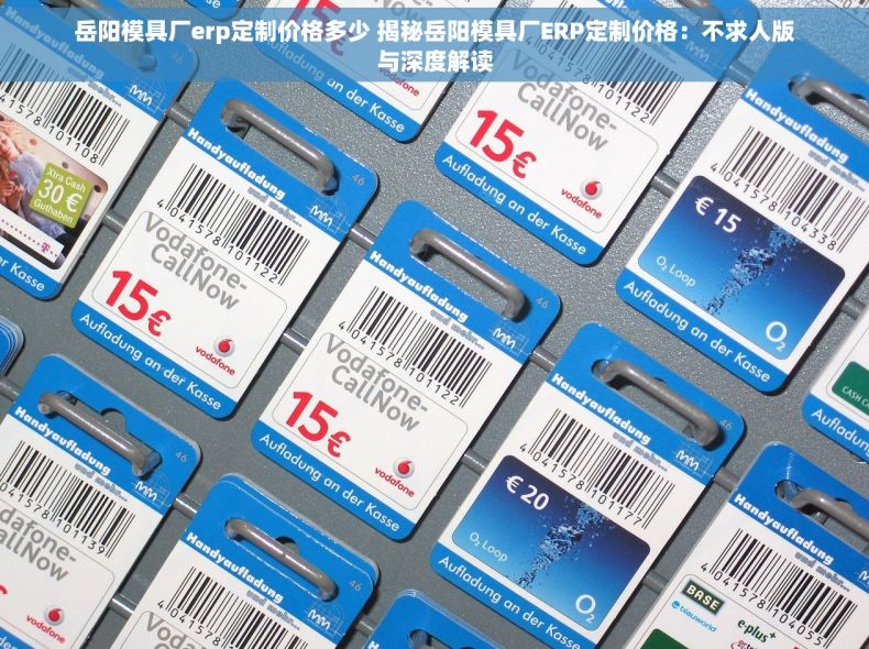 岳阳模具厂erp定制价格多少 揭秘岳阳模具厂ERP定制价格：不求人版与深度解读