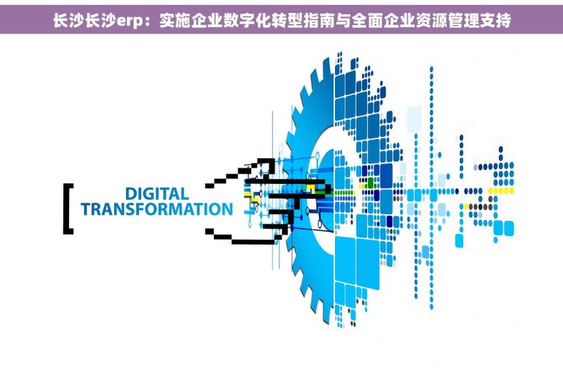 长沙长沙erp：实施企业数字化转型指南与全面企业资源管理支持