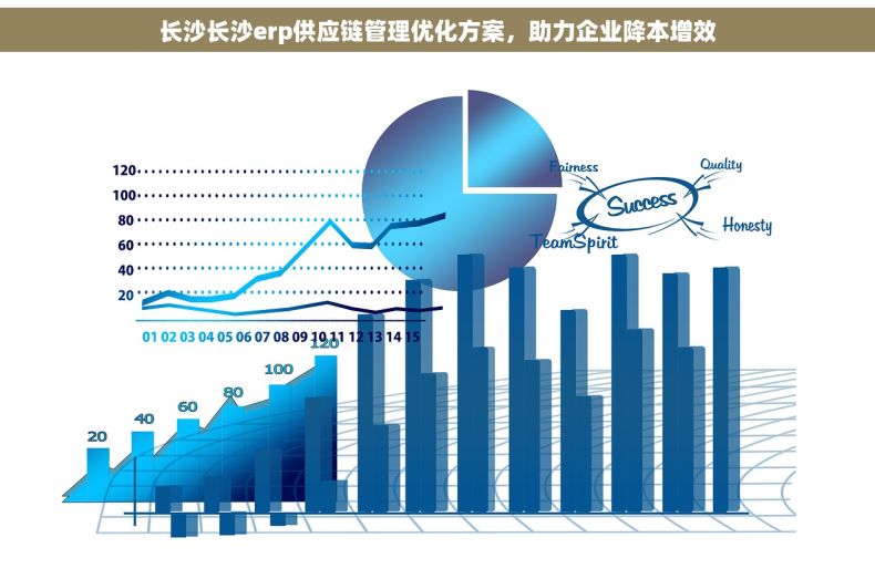 长沙长沙erp供应链管理优化方案，助力企业降本增效