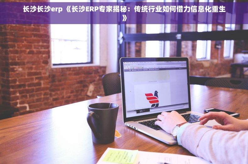 长沙长沙erp 《长沙ERP专家揭秘：传统行业如何借力信息化重生》