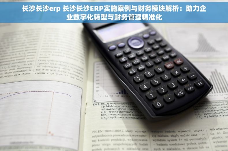 长沙长沙erp 长沙长沙ERP实施案例与财务模块解析：助力企业数字化转型与财务管理精准化