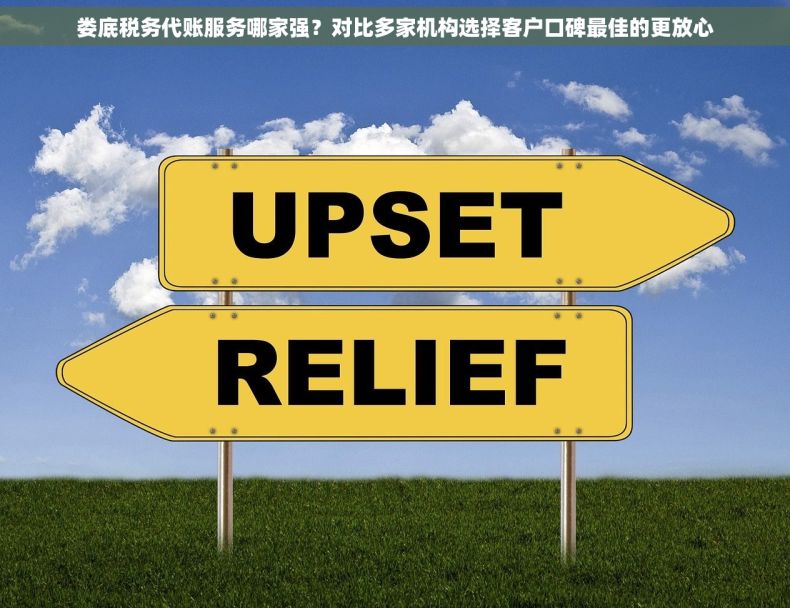 娄底税务代账服务哪家强？对比多家机构选择客户口碑最佳的更放心