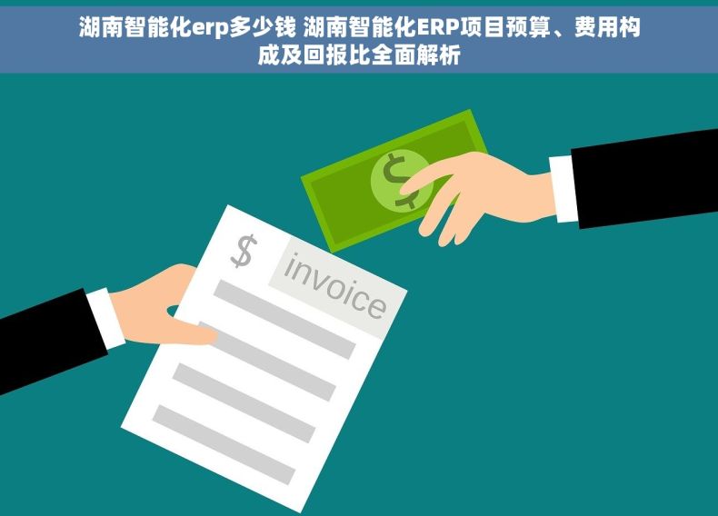 湖南智能化erp多少钱 湖南智能化ERP项目预算、费用构成及回报比全面解析