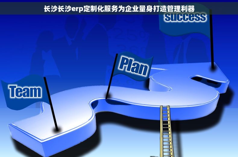 长沙长沙erp定制化服务为企业量身打造管理利器