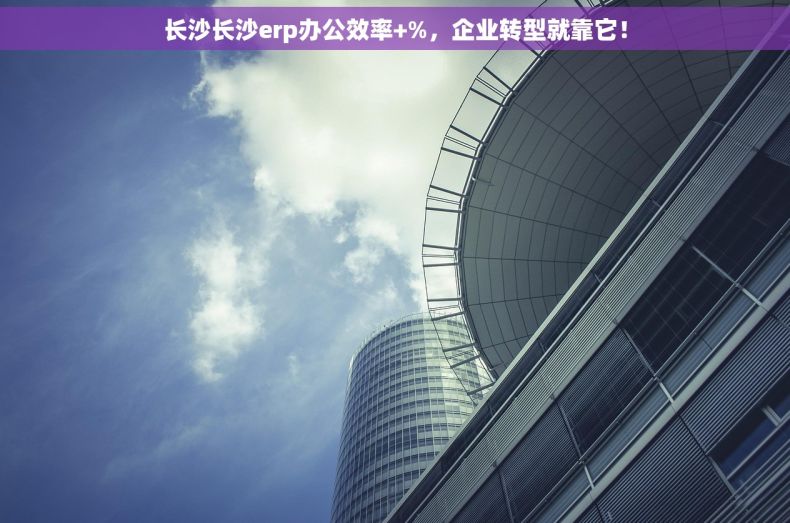 长沙长沙erp办公效率+%，企业转型就靠它！