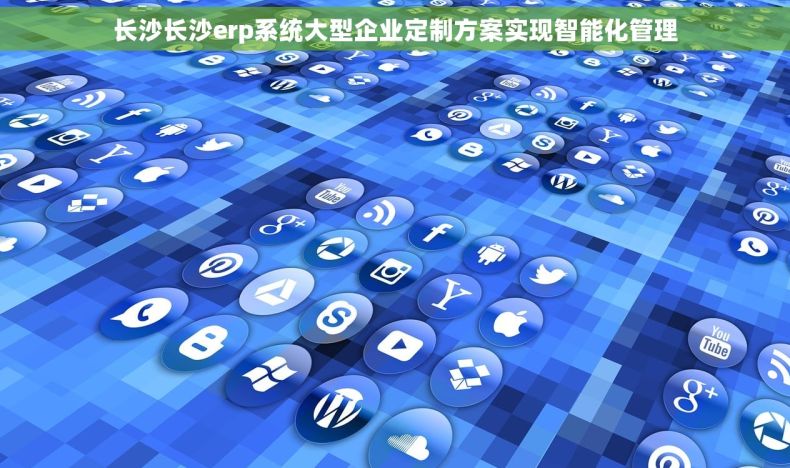 长沙长沙erp系统大型企业定制方案实现智能化管理