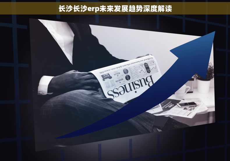 长沙长沙erp未来发展趋势深度解读