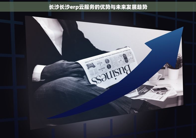 长沙长沙erp云服务的优势与未来发展趋势