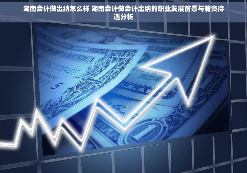 湖南会计做出纳怎么样 湖南会计做会计出纳的职业发展前景与薪资待遇分析