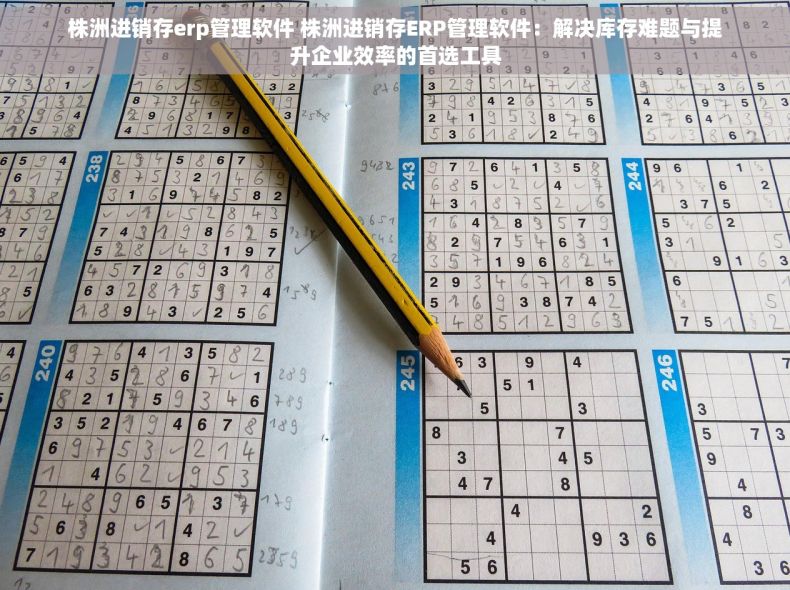 株洲进销存erp管理软件 株洲进销存ERP管理软件：解决库存难题与提升企业效率的首选工具