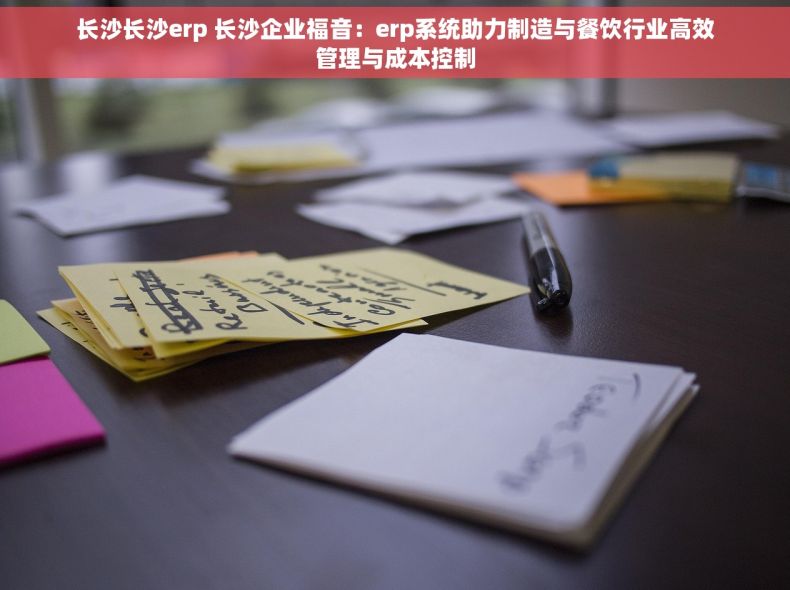 长沙长沙erp 长沙企业福音：erp系统助力制造与餐饮行业高效管理与成本控制