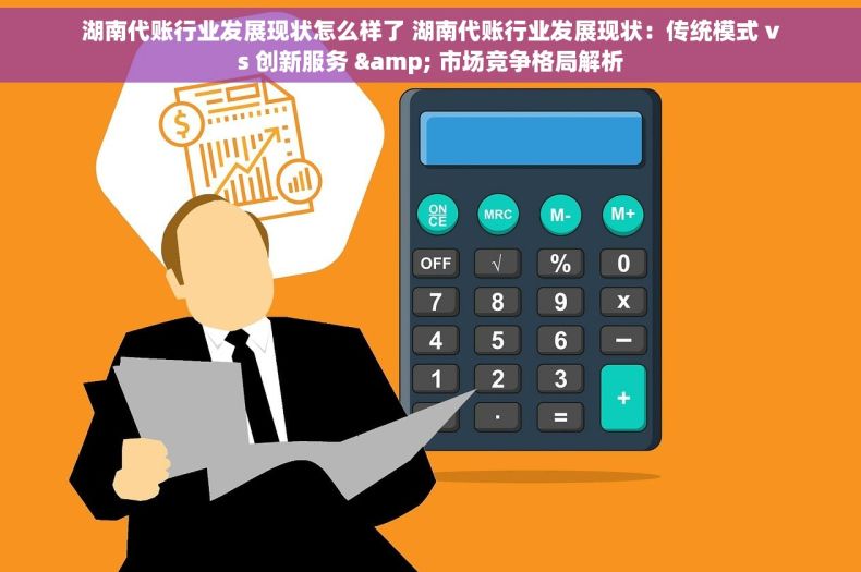 湖南代账行业发展现状怎么样了 湖南代账行业发展现状：传统模式 vs 创新服务 & 市场竞争格局解析