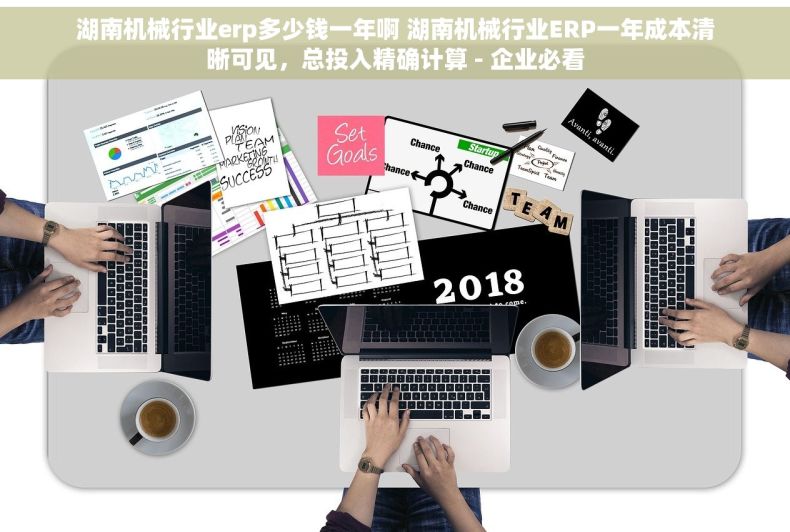湖南机械行业erp多少钱一年啊 湖南机械行业ERP一年成本清晰可见，总投入精确计算 - 企业必看
