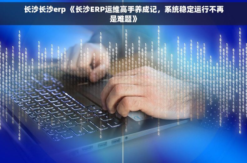 长沙长沙erp 《长沙ERP运维高手养成记，系统稳定运行不再是难题》