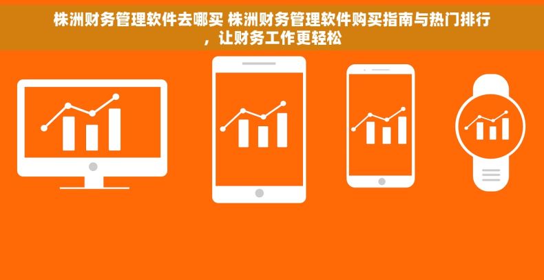 株洲财务管理软件去哪买 株洲财务管理软件购买指南与热门排行，让财务工作更轻松