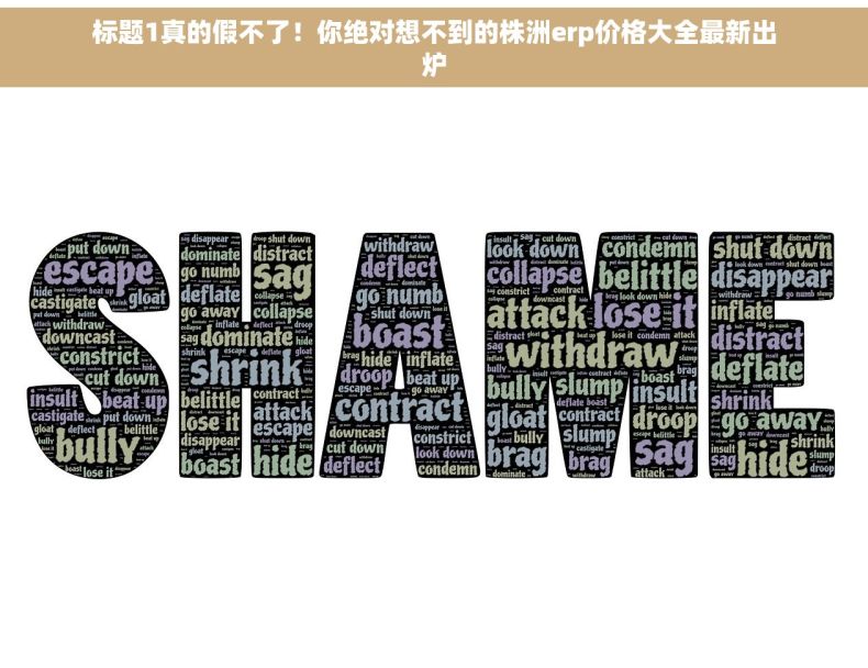标题1真的假不了！你绝对想不到的株洲erp价格大全最新出炉