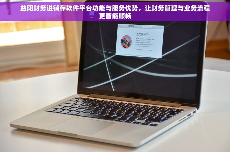 益阳财务进销存软件平台功能与服务优势，让财务管理与业务流程更智能顺畅