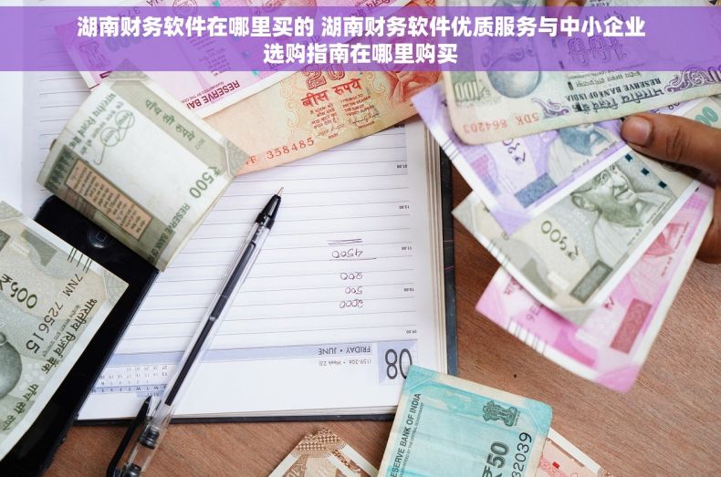 湖南财务软件在哪里买的 湖南财务软件优质服务与中小企业选购指南在哪里购买