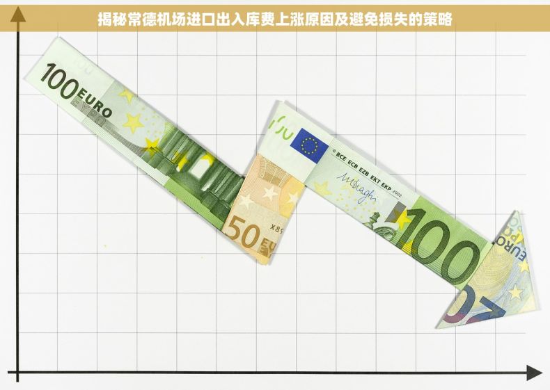 揭秘常德机场进口出入库费上涨原因及避免损失的策略