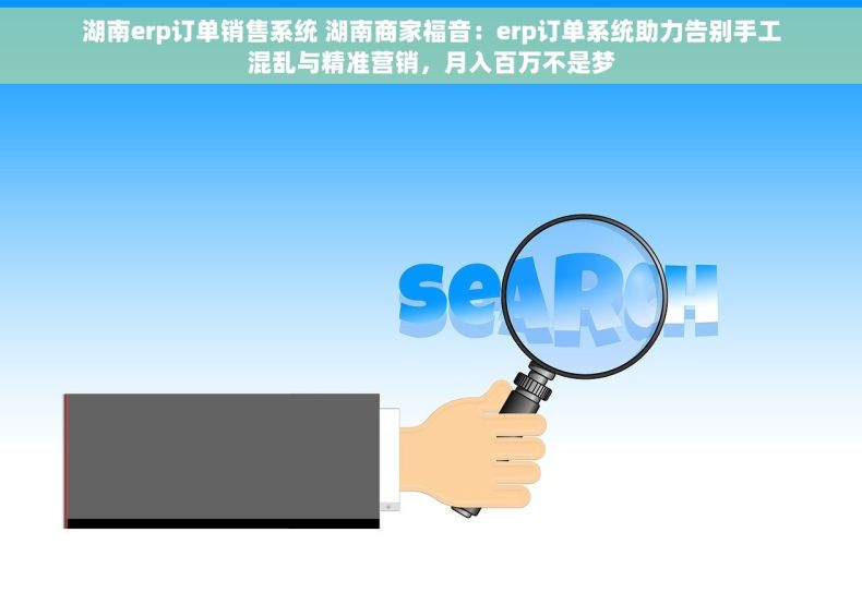 湖南erp订单销售系统 湖南商家福音：erp订单系统助力告别手工混乱与精准营销，月入百万不是梦