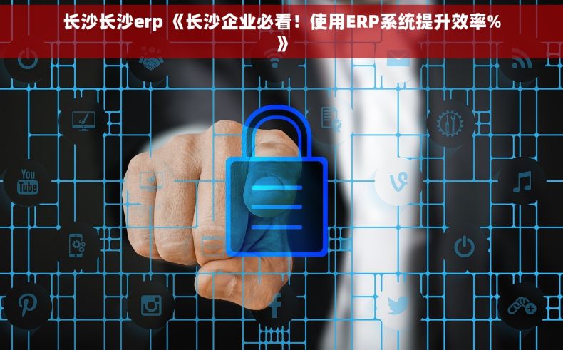 长沙长沙erp 《长沙企业必看！使用ERP系统提升效率%》