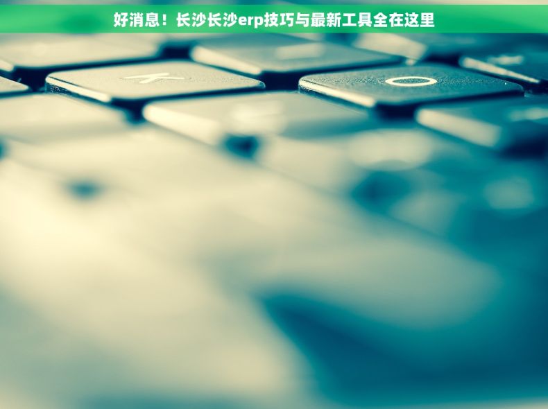 好消息！长沙长沙erp技巧与最新工具全在这里
