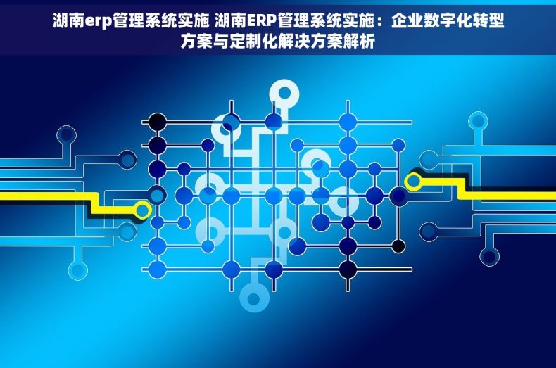 湖南erp管理系统实施 湖南ERP管理系统实施：企业数字化转型方案与定制化解决方案解析