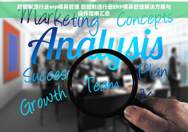 邵阳制造行业erp模具管理 邵阳制造行业ERP模具管理解决方案与操作指南汇总