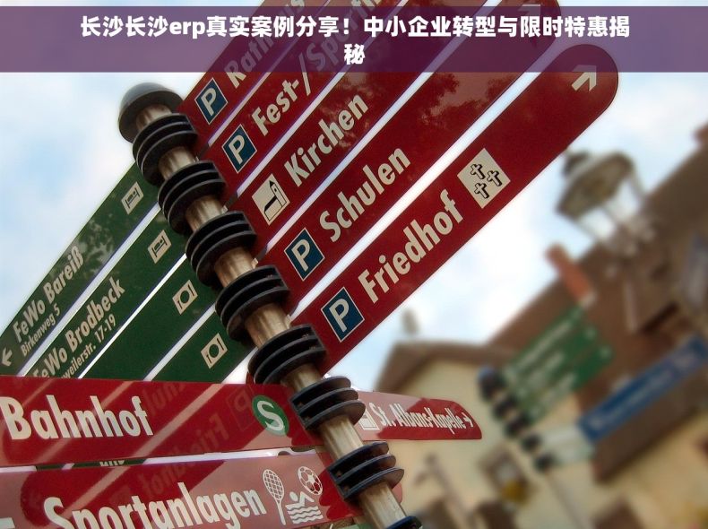 长沙长沙erp真实案例分享！中小企业转型与限时特惠揭秘