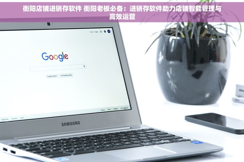 衡阳店铺进销存软件 衡阳老板必备：进销存软件助力店铺智能管理与高效运营