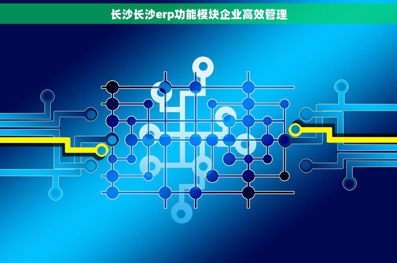 长沙长沙erp功能模块企业高效管理