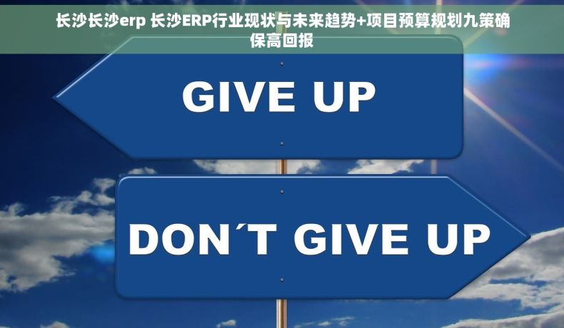 长沙长沙erp 长沙ERP行业现状与未来趋势+项目预算规划九策确保高回报
