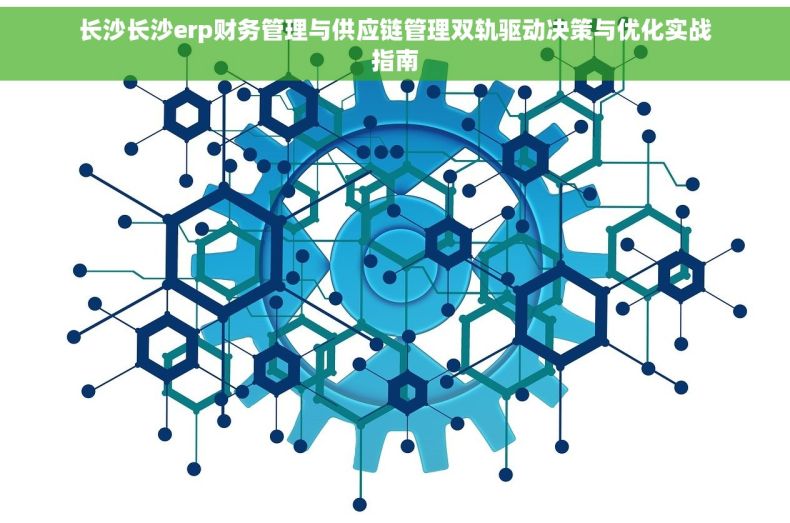 长沙长沙erp财务管理与供应链管理双轨驱动决策与优化实战指南