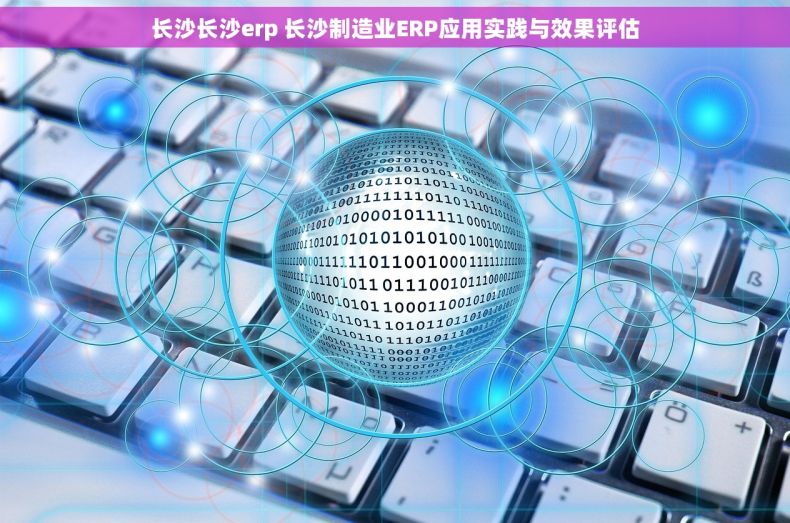 长沙长沙erp 长沙制造业ERP应用实践与效果评估