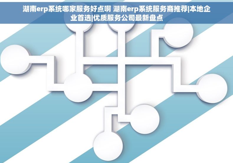 湖南erp系统哪家服务好点啊 湖南erp系统服务商推荐|本地企业首选|优质服务公司最新盘点