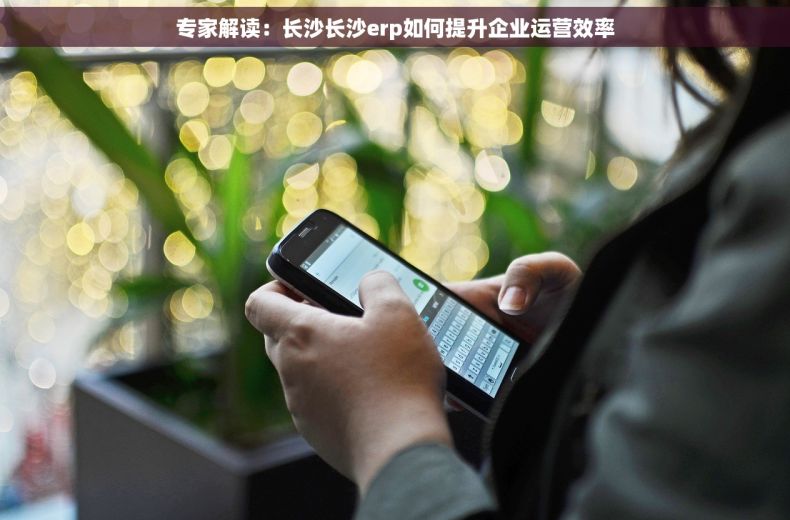 专家解读：长沙长沙erp如何提升企业运营效率