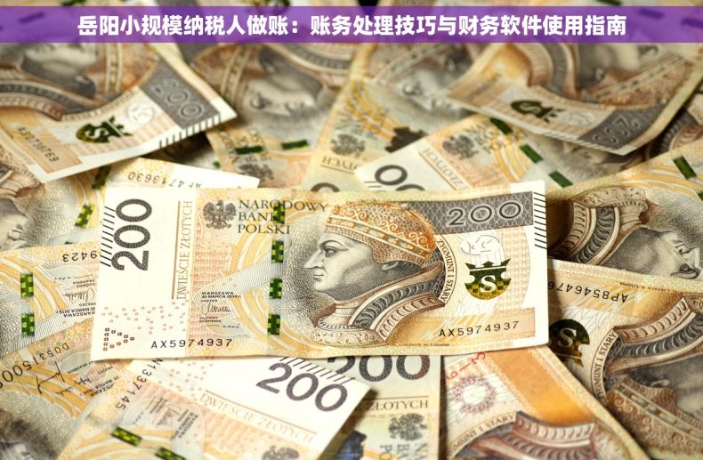 岳阳小规模纳税人做账：账务处理技巧与财务软件使用指南
