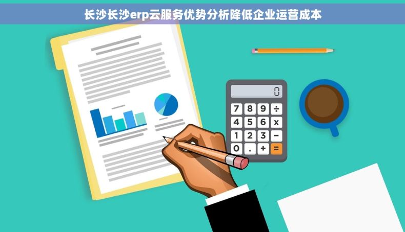 长沙长沙erp云服务优势分析降低企业运营成本
