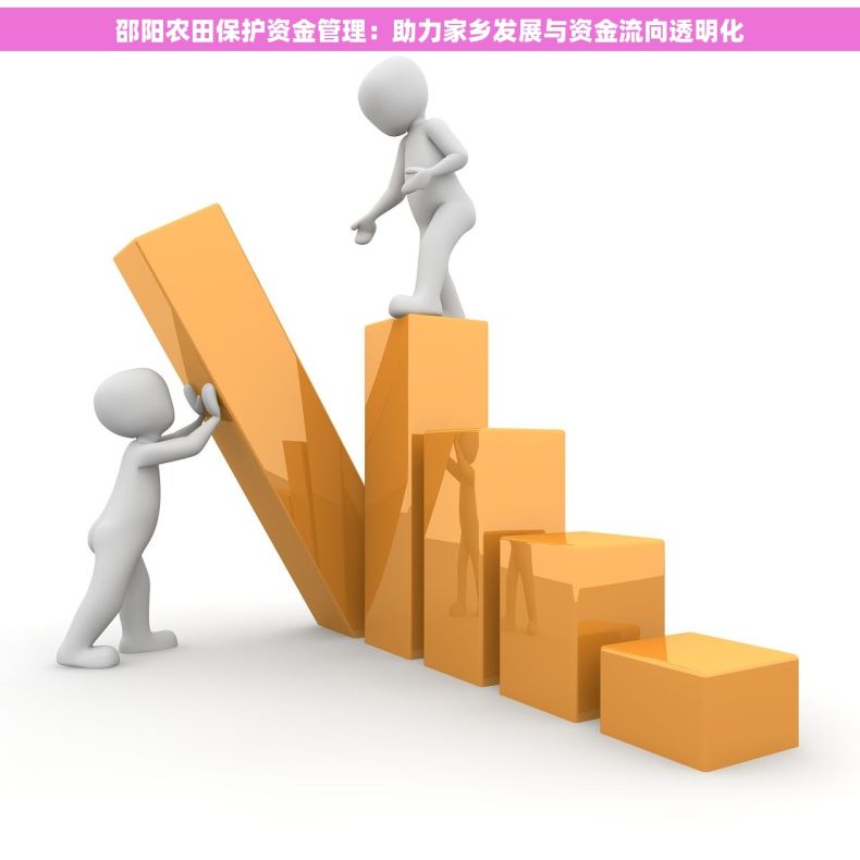 邵阳农田保护资金管理：助力家乡发展与资金流向透明化