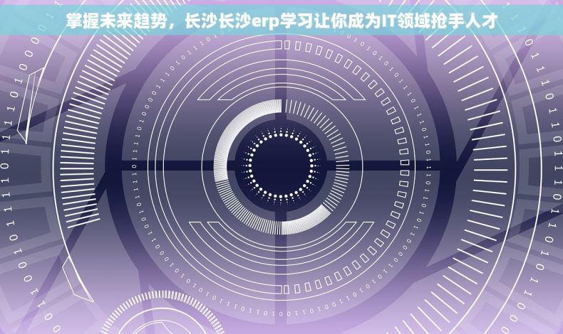 掌握未来趋势，长沙长沙erp学习让你成为IT领域抢手人才