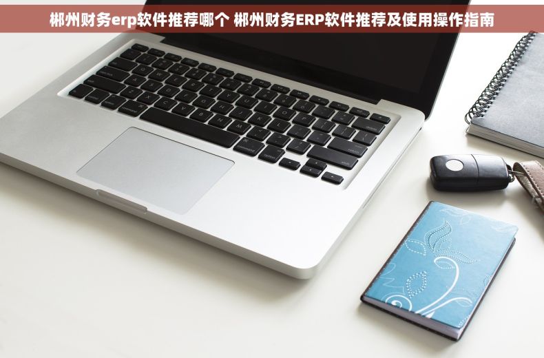 郴州财务erp软件推荐哪个 郴州财务ERP软件推荐及使用操作指南